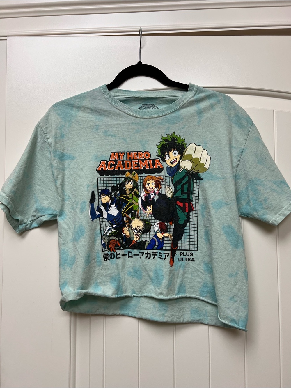 My Hero Academia (MHA) Funimation Class 1A cropped t-shirt